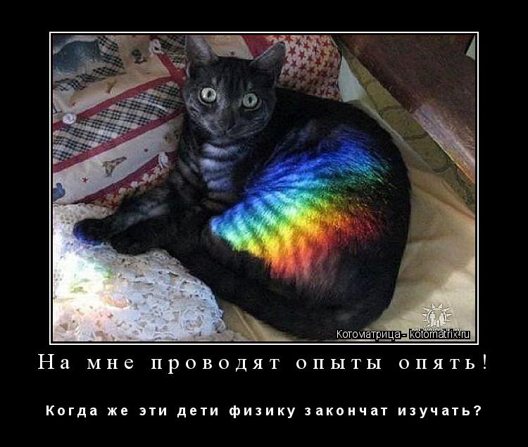 Котоматрица: На мне проводят опыты опять! К о г д а   ж е   э т и   д е т и   ф и з и к у   з а к о н ч а т   и з у ч а т ь ?