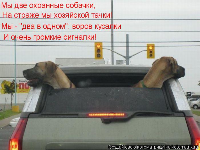 Котоматрица: Мы две охранные собачки, Мы две охранные собачки, На страже мы хозяйской тачки! Мы - "два в одном": воров кусалки И очень громкие сигналки!
