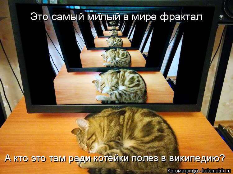 Котоматрица: Это самый милый в мире фрактал А кто это там ради котейки полез в википедию?