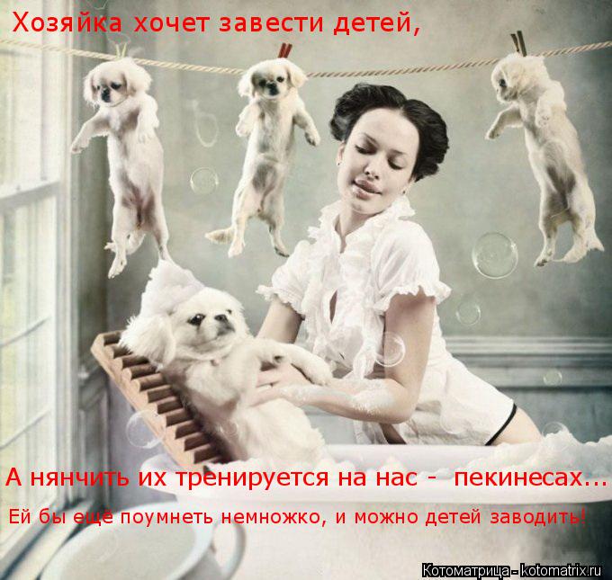 Котоматрица: Хозяйка хочет завести детей, А нянчить их тренируется на нас -  пекинесах... Ей бы ещё поумнеть немножко, и можно детей заводить!