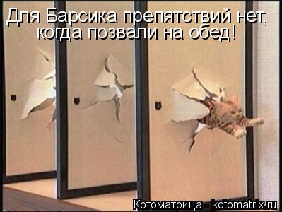 Котоматрица: Для Барсика препятствий нет,  когда позвали на обед!