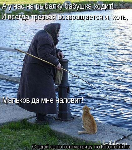 Котоматрица: А у нас на рыбалку бабушка ходит! И всегда трезвая возвращается и, хоть, Мальков да мне наловит!