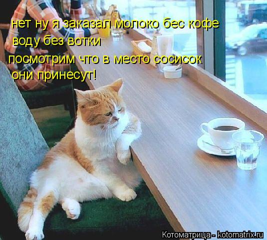 Котоматрица: нет ну я заказал молоко бес кофе воду без вотки посмотрим что в место сосисок  они принесут!
