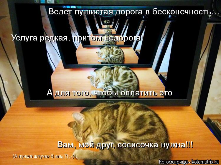 Котоматрица: Ведет пушистая дорога в бесконечность… Услуга редкая, притом недорога! А для того, чтобы оплатить это Вам, мой друг, сосисочка нужна!!! (А луч