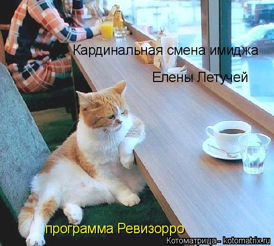 Котоматрица: Кардинальная смена имиджа  Елены Летучей программа Ревизорро
