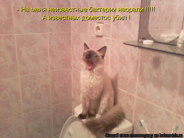 Котоматрица: - На меня неизвестные бактерии наорали !!!!! А известных доместос убил !