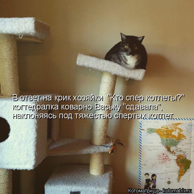Котоматрица: В ответ на крик хозяйки  "Кто спёр котлеты?" когтедралка коварно Ваську "сдавала", наклоняясь под тяжестью спертых котлет...