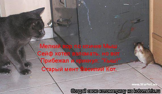 Котоматрица: Мелкий вор по кличке Мыш Сейф хотел взломать, но вот Прибежал и крикнул: "Кыш!" Старый мент Василий Кот.