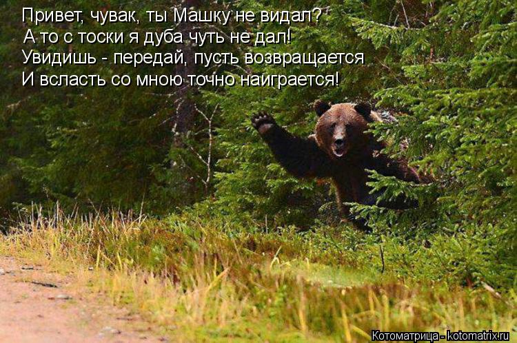 Котоматрица: Привет, чувак, ты Машку не видал? А то с тоски я дуба чуть не дал! Увидишь - передай, пусть возвращается Увидишь - передай, пусть возвращается И