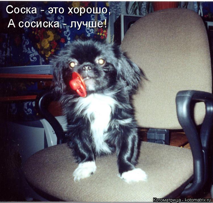 Котоматрица: Соска - это хорошо, А сосиска - лучше!