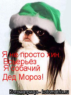 Котоматрица: Я не просто хин. Всьерьёз Я собачий Дед Мороз!