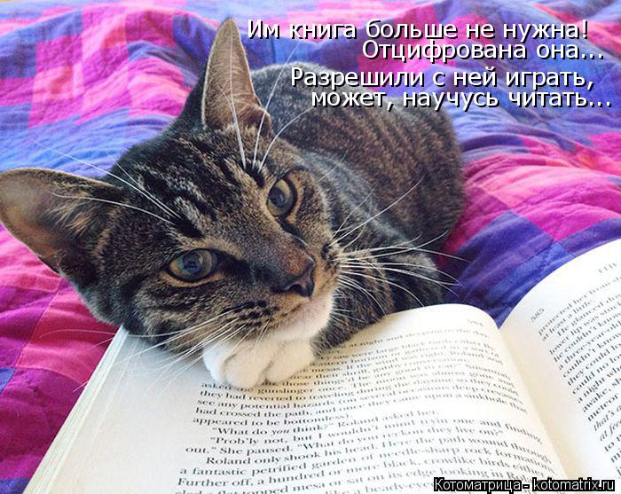 Котоматрица: Им книга больше не нужна! Разрешили с ней играть, может, научусь читать... Отцифрована она...