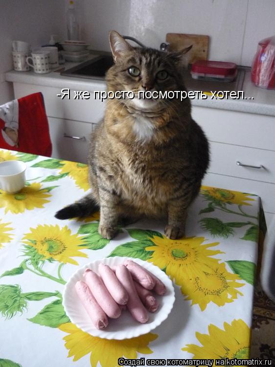 Котоматрица: -Я же просто посмотреть хотел...