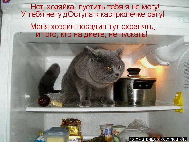 Котоматрица: Меня хозяин посадил тут охранять,  Нет, хозяйка, пустить тебя я не могу!  У тебя нету дОступа к кастрюлечке рагу! и того, кто на диете, не пуска