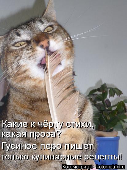 Котоматрица: только кулинарные рецепты! какая проза? Какие к чёрту стихи,  Гусиное перо пишет