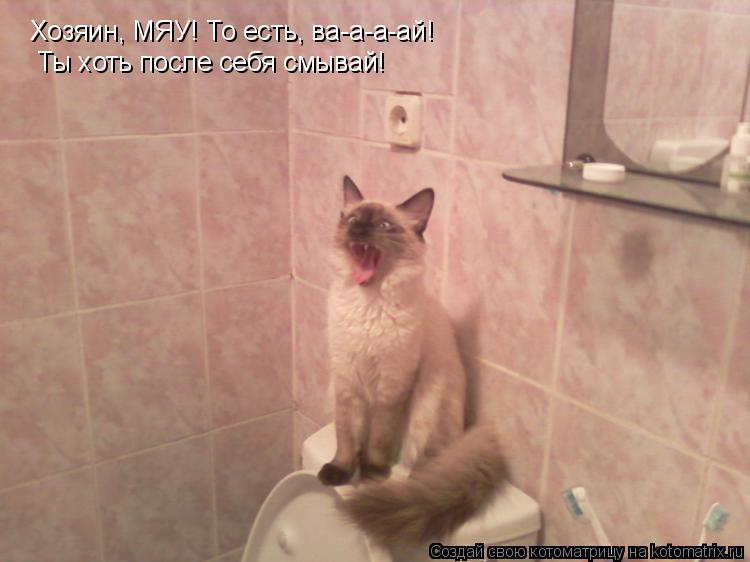 Котоматрица: Хозяин, МЯУ! То есть, ва-а-а-ай! Ты хоть после себя смывай!