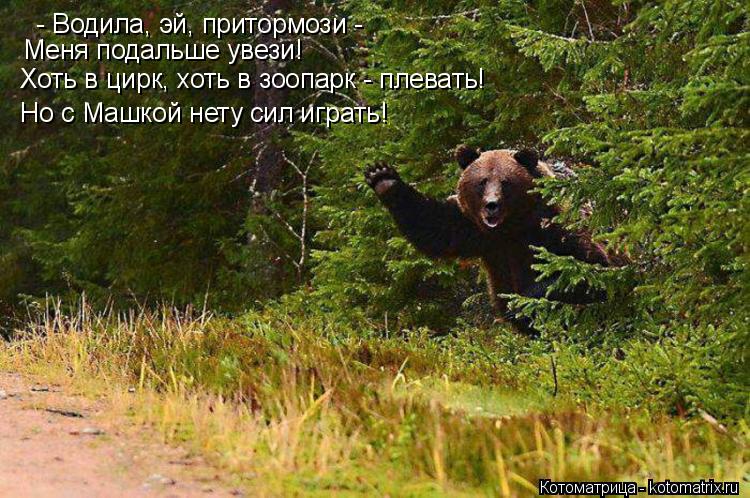 Котоматрица: - Водила, эй, притормози - Меня подальше увези! Хоть в цирк, хоть в зоопарк - плевать! Но с Машкой нету сил играть!
