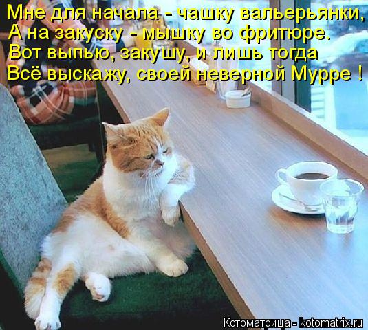 Котоматрица: Мне для начала - чашку вальерьянки, А на закуску - мышку во фритюре. Вот выпью, закушу, и лишь тогда Всё выскажу, своей неверной Мурре !