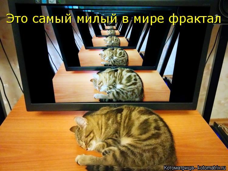 Котоматрица: Это самый милый в мире фрактал