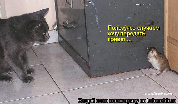 Котоматрица: Пользуясь случаем хочу передать привет....
