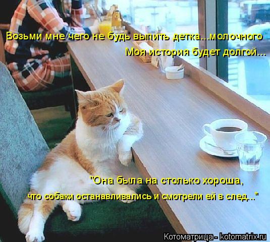 Котоматрица: Возьми мне чего не будь выпить детка...молочного Моя история будет долгой... "Она была на столько хороша, что собаки останавливались и смотре