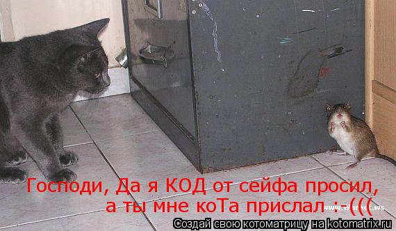 Котоматрица: Господи, Да я КОД от сейфа просил, а ты мне коТа прислал :-(((