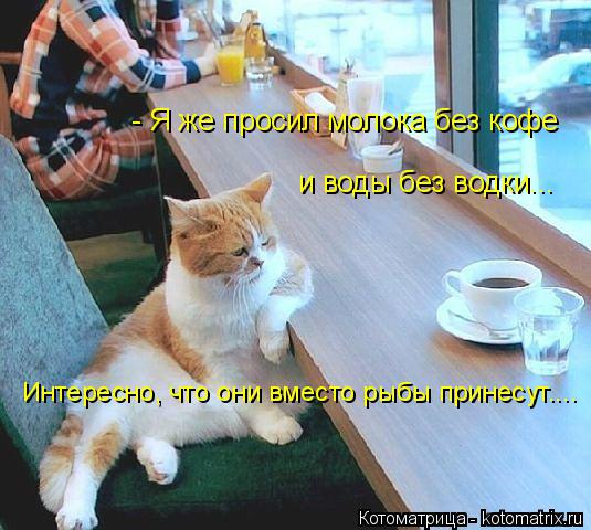 Котоматрица: - Я же просил молока без кофе и воды без водки... Интересно, что они вместо рыбы принесут....
