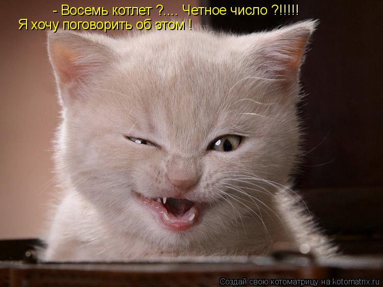 Котоматрица: - Восемь котлет ?.... Четное число ?!!!!! Я хочу поговорить об этом !