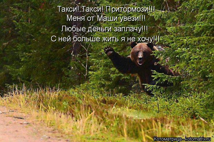 Котоматрица: Такси! Такси! Притормози!!! Меня от Маши увези!!! Любые деньги заплачу!!! С ней больше жить я не хочу!!!