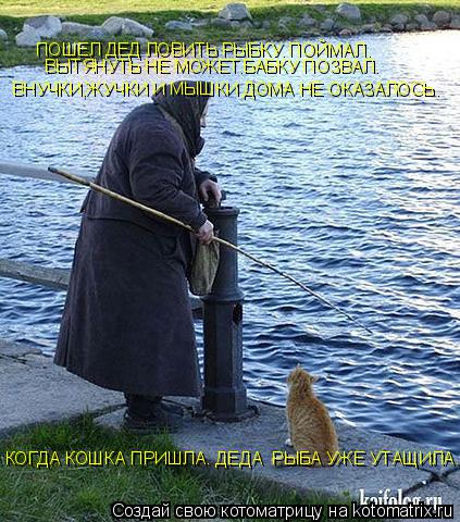 Котоматрица: ПОШЕЛ ДЕД ЛОВИТЬ РЫБКУ. ПОЙМАЛ. ВЫТЯНУТЬ НЕ МОЖЕТ.БАБКУ ПОЗВАЛ. ВНУЧКИ,ЖУЧКИ И МЫШКИ ДОМА НЕ ОКАЗАЛОСЬ. КОГДА КОШКА ПРИШЛА. ДЕДА  РЫБА УЖЕ УТА