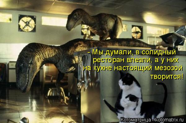 Котоматрица: - Мы думали, в солидный  ресторан влезли, а у них  на кухне настоящий мезозой  творится!