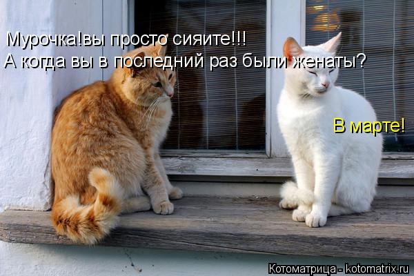 Котоматрица: Мурочка!вы просто сияите!!! Мурочка!вы просто сияите!!! Мурочка!вы просто сияите!!! А когда вы в последний раз были женаты? В марте!