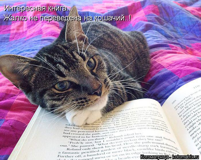 Котоматрица: Интересная книга... Жалко не переведена на кошачий..!