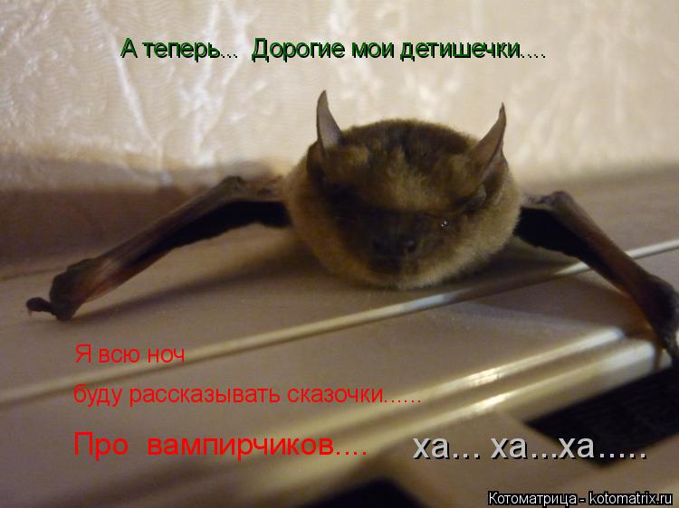 Котоматрица: А теперь...  Дорогие мои детишечки.... Я всю ноч буду рассказывать сказочки...... Про  вампирчиков.... ха... ха...ха.....