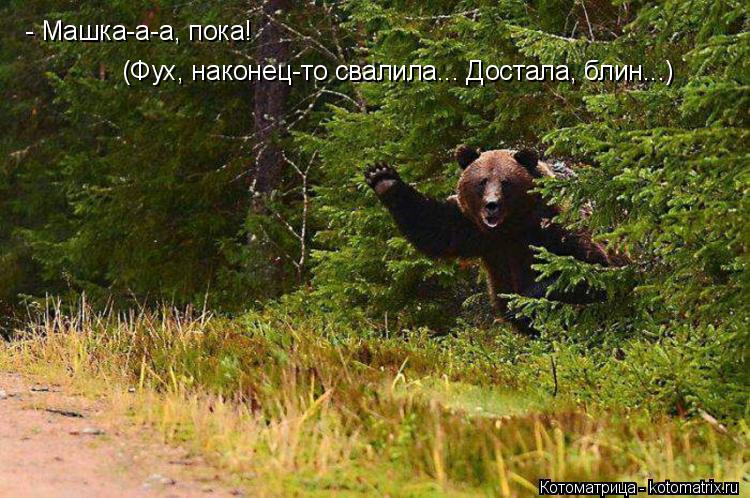 Котоматрица: - Машка-а-а, пока! (Фух, наконец-то свалила... Достала, блин...)