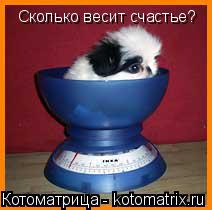 Котоматрица: Сколько весит счастье?