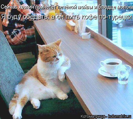 Котоматрица: Сейчас хозяин принесёт печёной мойвы и блюдце молока. Я буду обедать, а он пить кофе по-турецки.