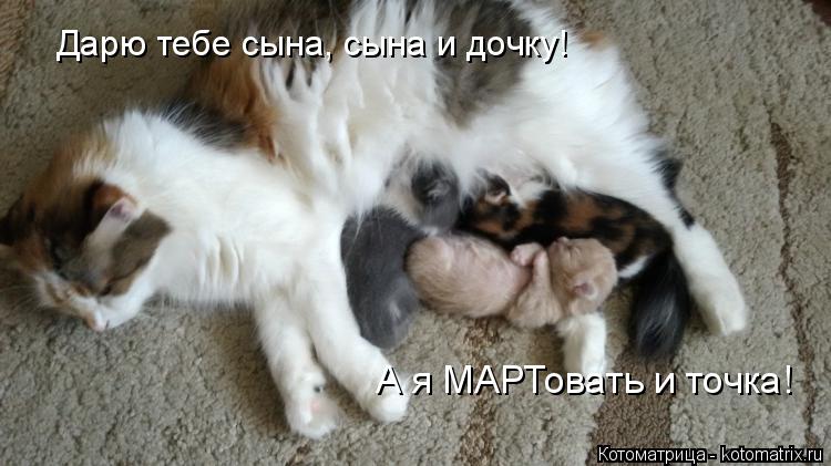 Котоматрица: Дарю тебе сына, сына и дочку! А я МАРТовать и точка!