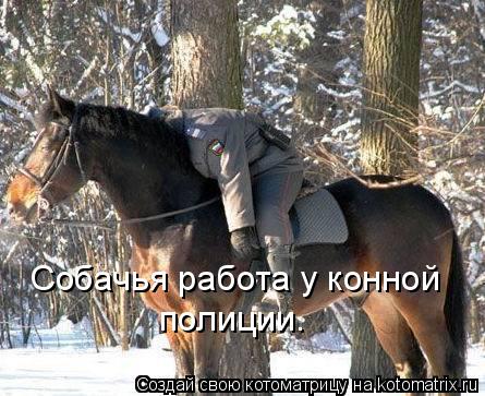 Котоматрица: Собачья работа у конной полиции.