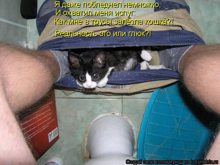 Котоматрица: Я даже побледнел немножко, И охватил меня испуг: Как мне в трусы залезла кошка?! Реальность это или глюк?!