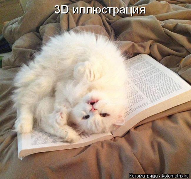 Котоматрица: 3D иллюстрация