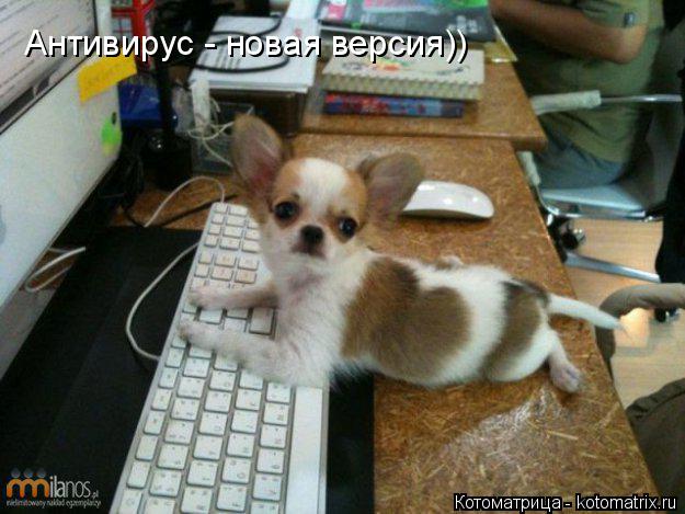 Котоматрица: Антивирус - новая версия))