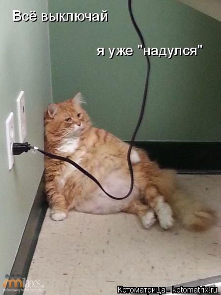 Котоматрица: Всё выключай я уже "надулся"
