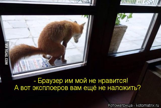 Котоматрица: - Браузер им мой не нравится! А вот эксплоеров вам ещё не наложить?