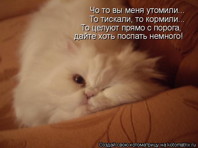 Котоматрица: Чо то вы меня утомили... То тискали, то кормили... То целуют прямо с порога,  дайте хоть поспать немного!