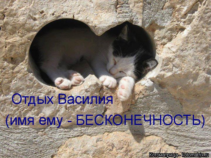 Котоматрица: Отдых Василия (имя ему - БЕСКОНЕЧНОСТЬ)