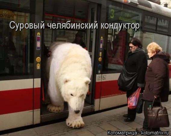 Котоматрица: Суровый челябинский кондуктор