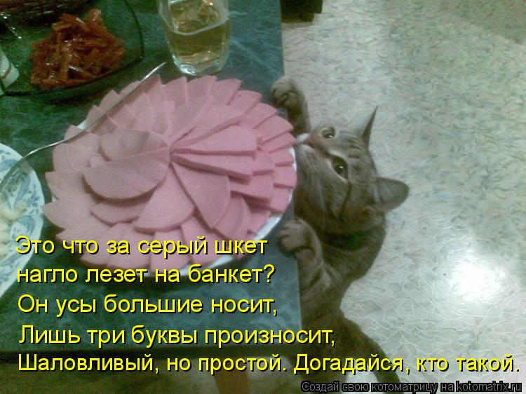 Это что за серый шкет нагло лезет на банкет? Шаловливый, но простой. Догадайся, кто такой. Он усы бол... Котоматрица: Это что за серый шкет нагло лезет на банкет? Шаловливый, но простой. Догадайся, кто такой. Он усы большие носит, Лишь три буквы произносит,