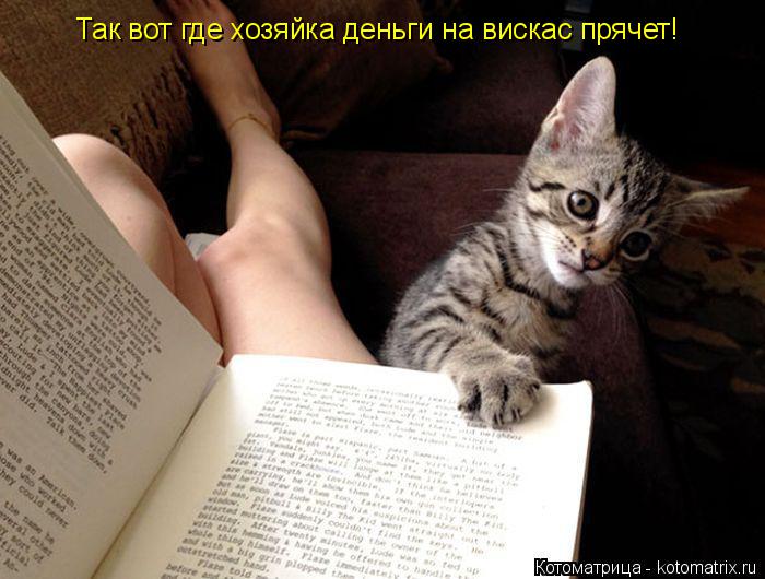 Котоматрица: Так вот где хозяйка деньги на вискас прячет!