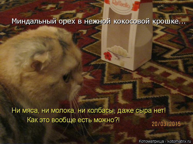 Котоматрица: Миндальный орех в нежной кокосовой крошке... Ни мяса, ни молока, ни колбасы, даже сыра нет! Как это вообще есть можно?!